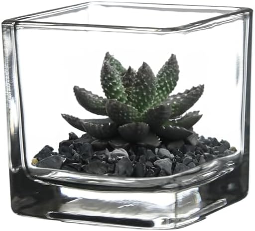 WGV 2 Inch Tea Light Votive Candle Holder, Clear, Square Cube 2”x2”, Small Tiny Bulk, Home Décor, Table Top, 24 Pcs