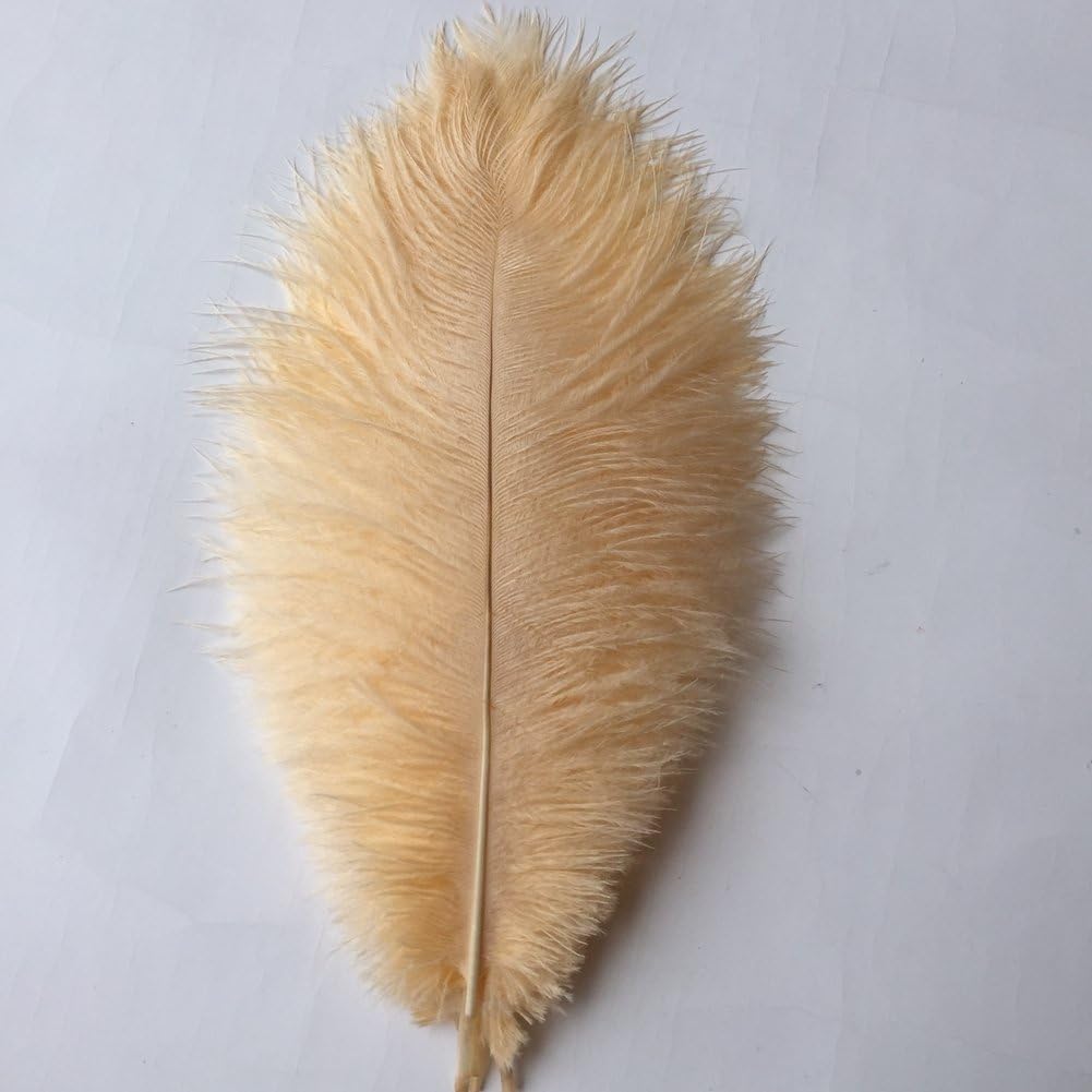 Sowder 8-10inch(20-25cm) Ostrich Feathers Plume for Wedding Centerpieces Home Decoration Pack of 10pcs(Champagne)