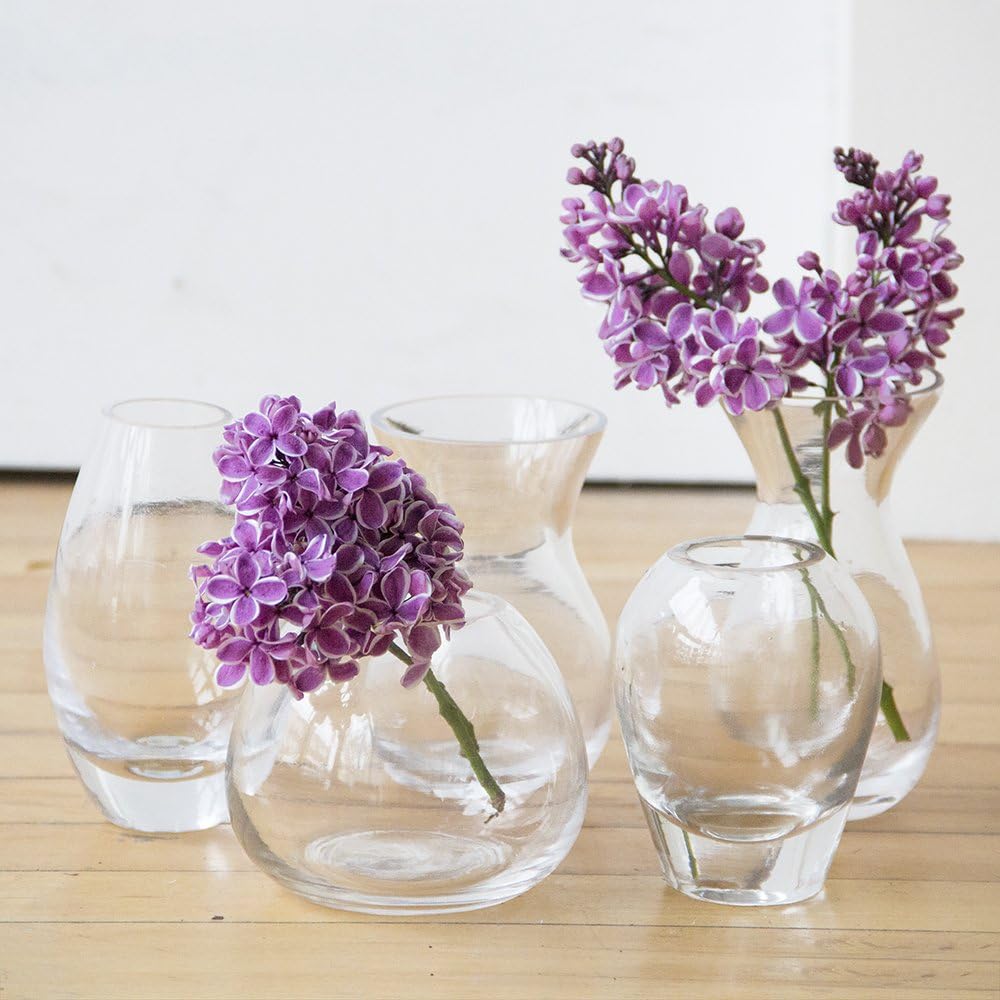 CHIVE ‘George’ Glass Bottle Flower Vases — Set of 5 — Small, Elegant Clear Glass Bud Vases — Bulk Pack for Home Decor & Table Centerpieces — Assorted Shapes