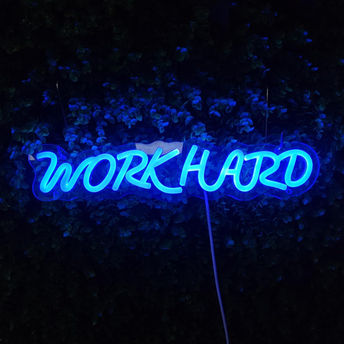 Work Hard Neon Signs for Wall Decor, Neon Light Sign LED Signs for Wall Light Signs Wall Decor for Office Man Cave Beer Bar Pub Restaurant Birthday Party, 15.3" x 3.4"