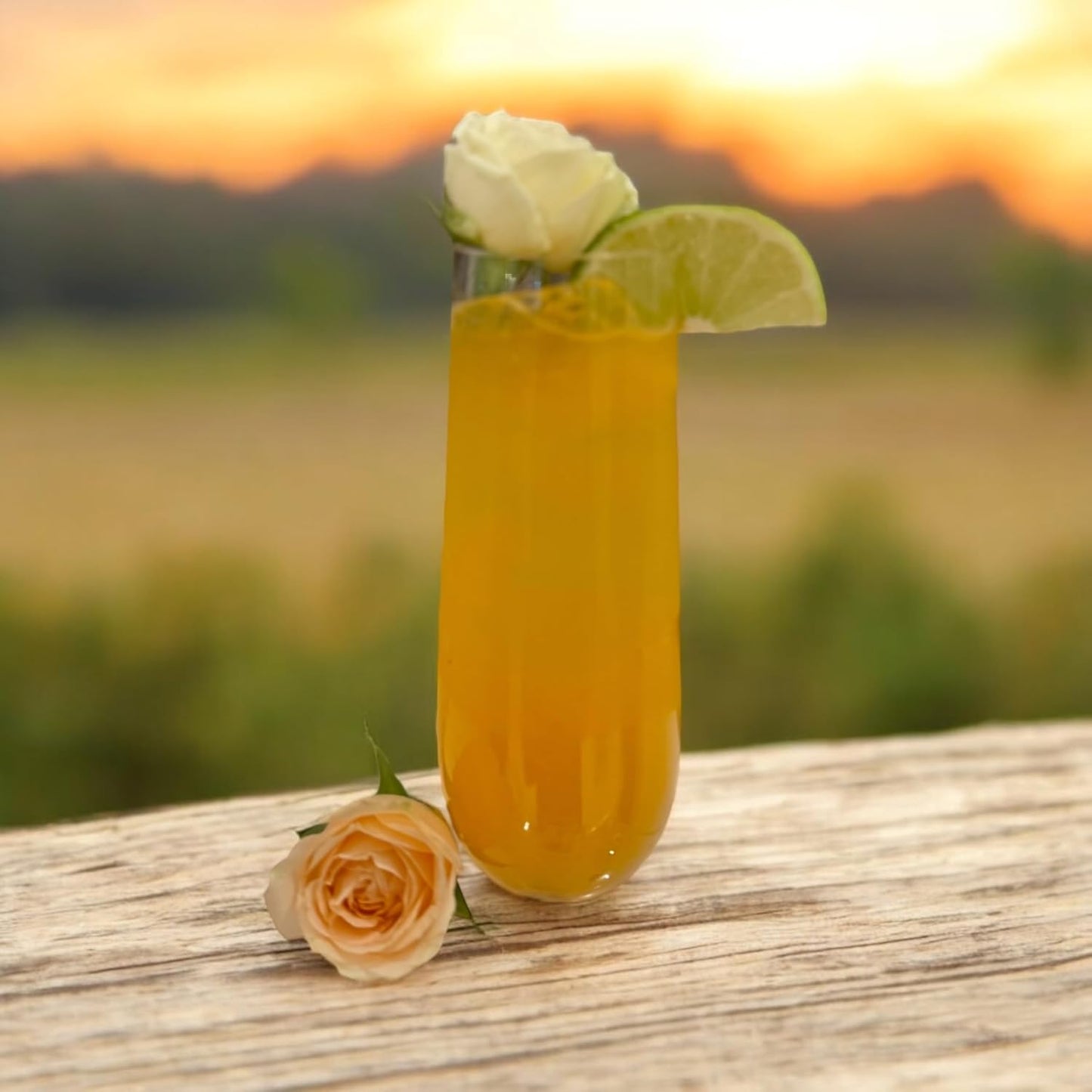 36 piece Stemless Unbreakable Crystal Clear Plastic Wine Glasses Set of 36 (9 Ounces)