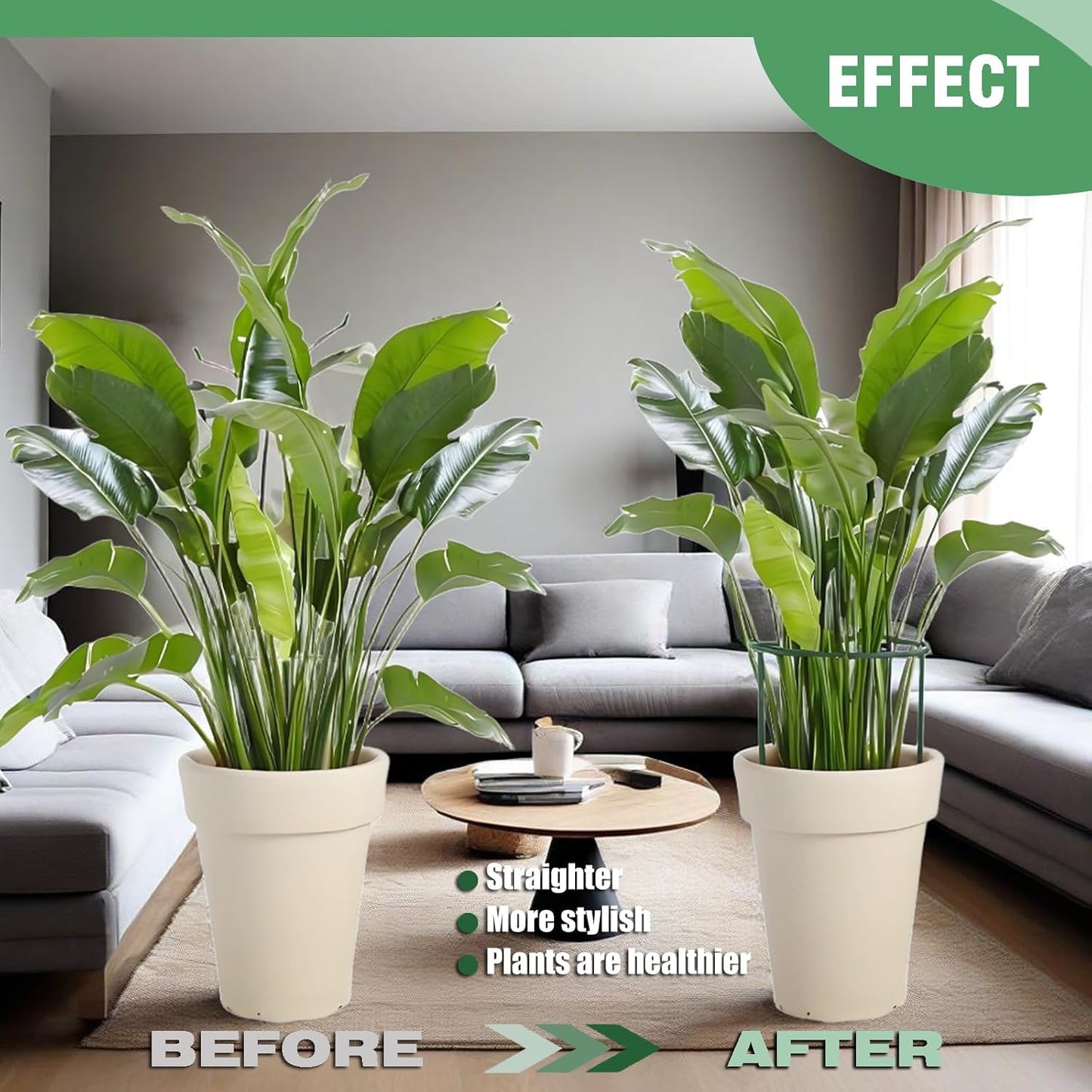 LINGHUI 6 Pack Plant Support Stakes, 10" Wide x 16" High,Heavy-Duty Half Round Peony Support Ring and Cage for Indoor and Outdoor Plants, Peony, Tomato, Hydrangea, Rose(100 Plant Ties)