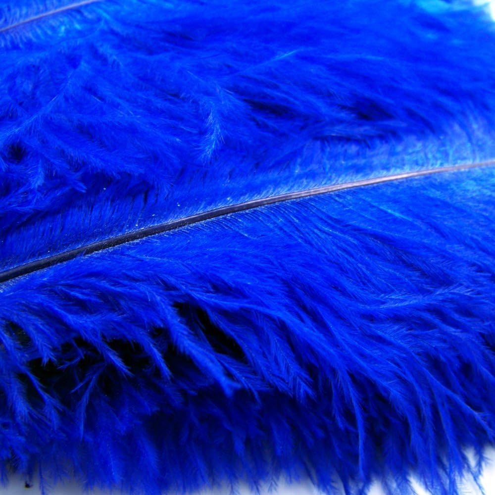 KOLIGHT® 40pcs 12''~14''(30~35cm) Natural Ostrich Feathers for DIY Home Wedding Party Office Decoration (Blue)