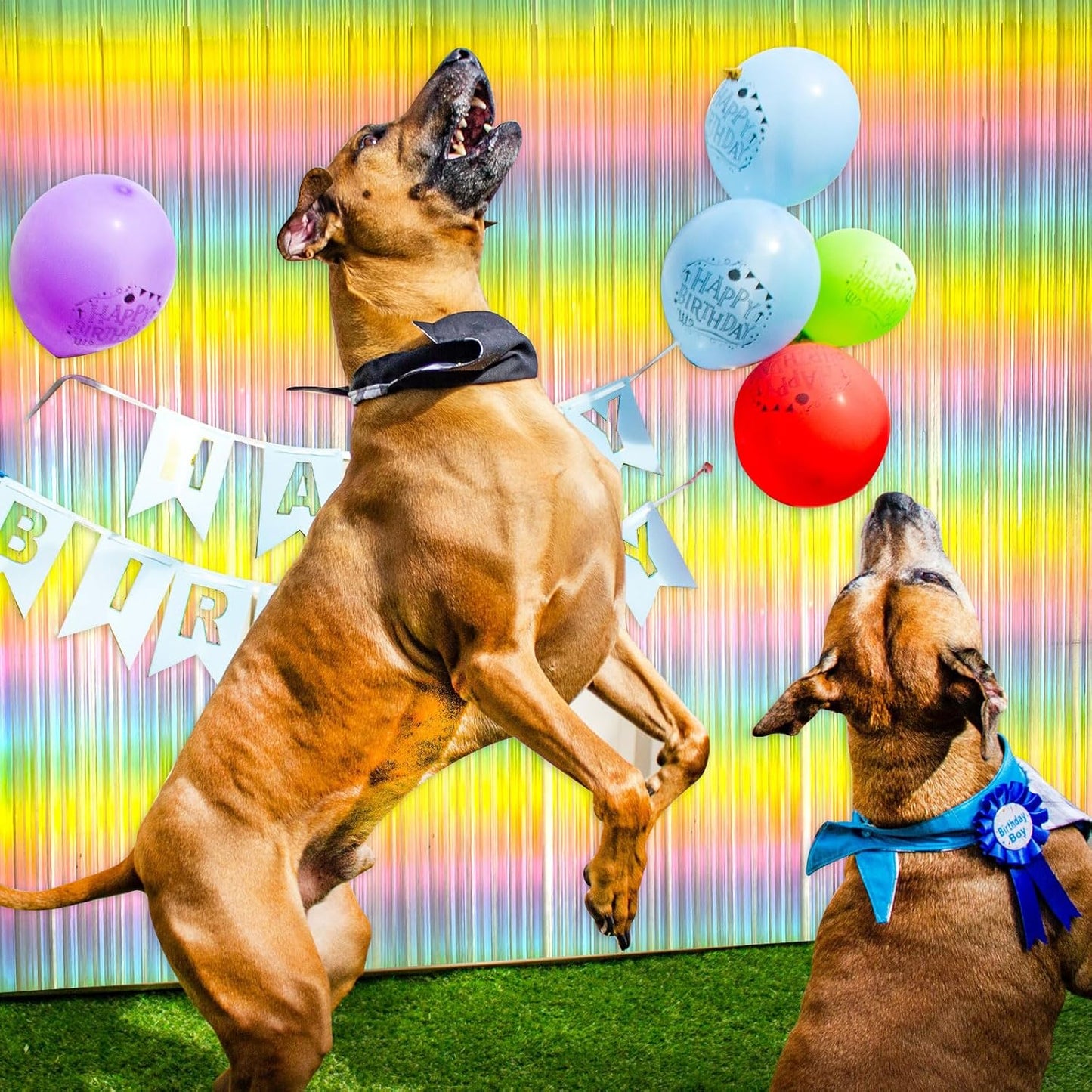 Pastel Rainbow Foil Fringe Curtain Streamers Party Backdrop Foil Fringe Backdrop Curtains Tinsel Streamers for Birthday Party Decorations