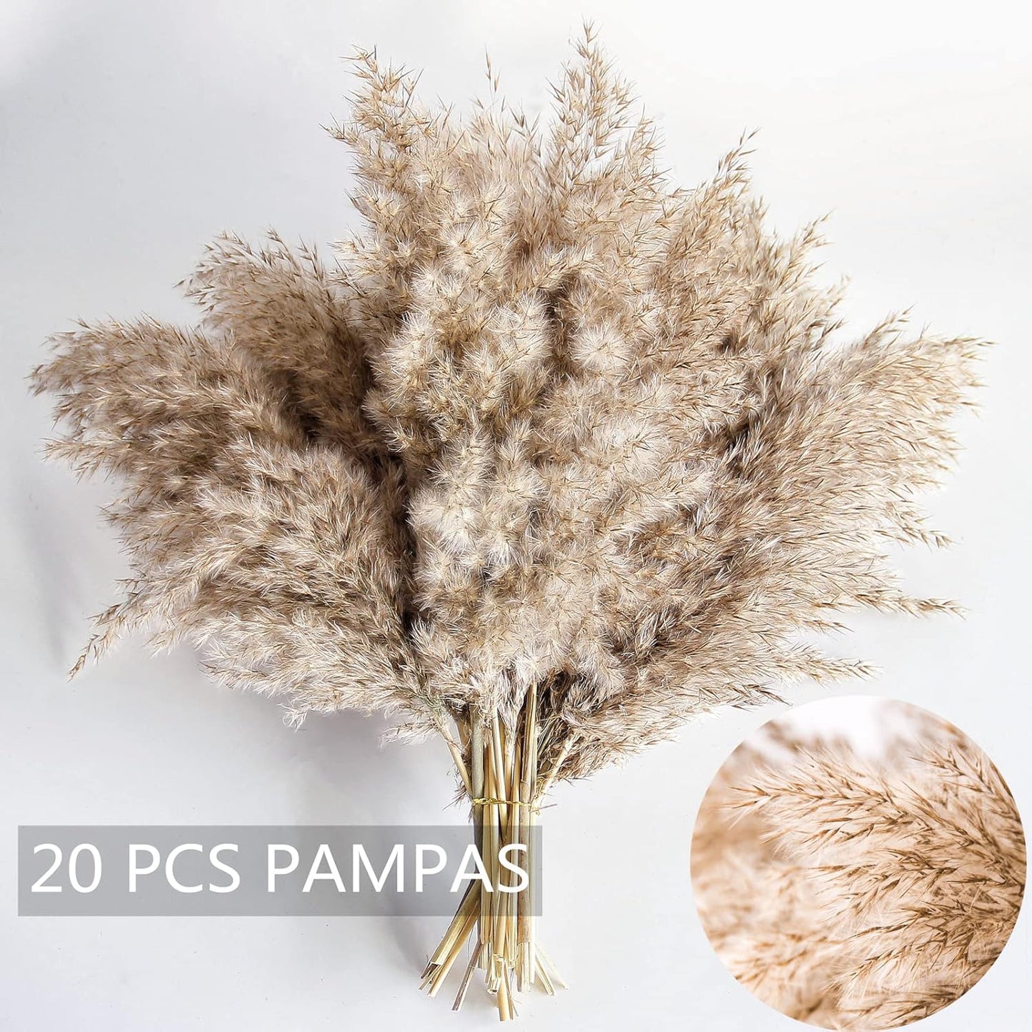 Pampas Grass Decor, Natural Dry Pampas Grass Small, Short Pampass Bulk for Farmhouse, Wall, Kitchen, Bedroom Decor, Office Decor (17 inch )