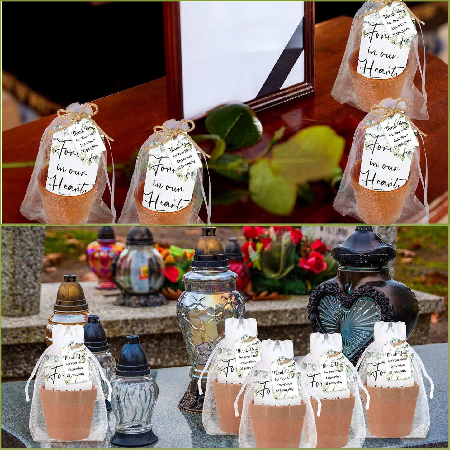 Ctosree 50 Sets Funeral Favors for Guests Greenery Celebration of Life Gifts Include Seed Packet Flowerpot Thank You Cards Hemp Ropes Organza Bags for Guest Funeral Party Memorial Party Return Gifts