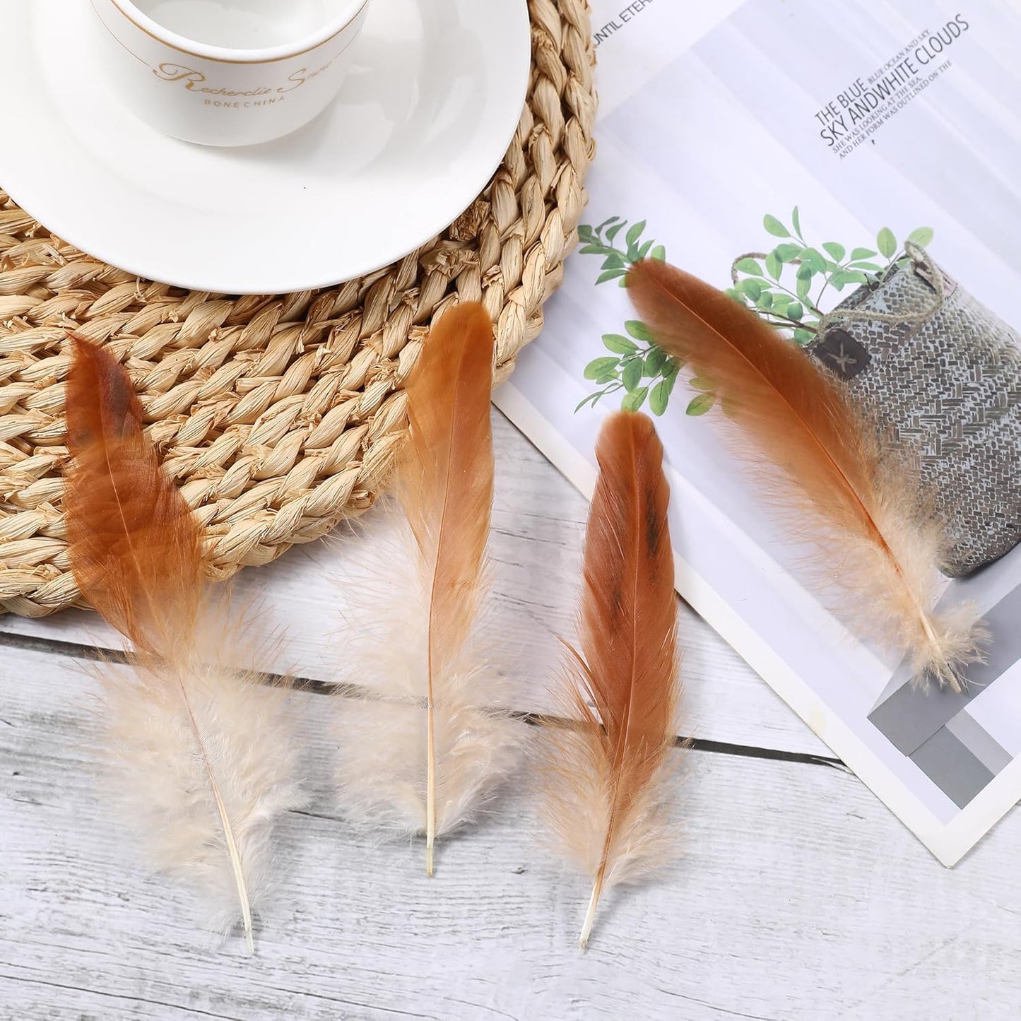 SOGUGOM Natural Rooster Tail Feathers - 200 pcs 5-7 inch Natural Small Feathers Bulk for Hats, Cocktail Table Centerpieces and Costume(Natural)