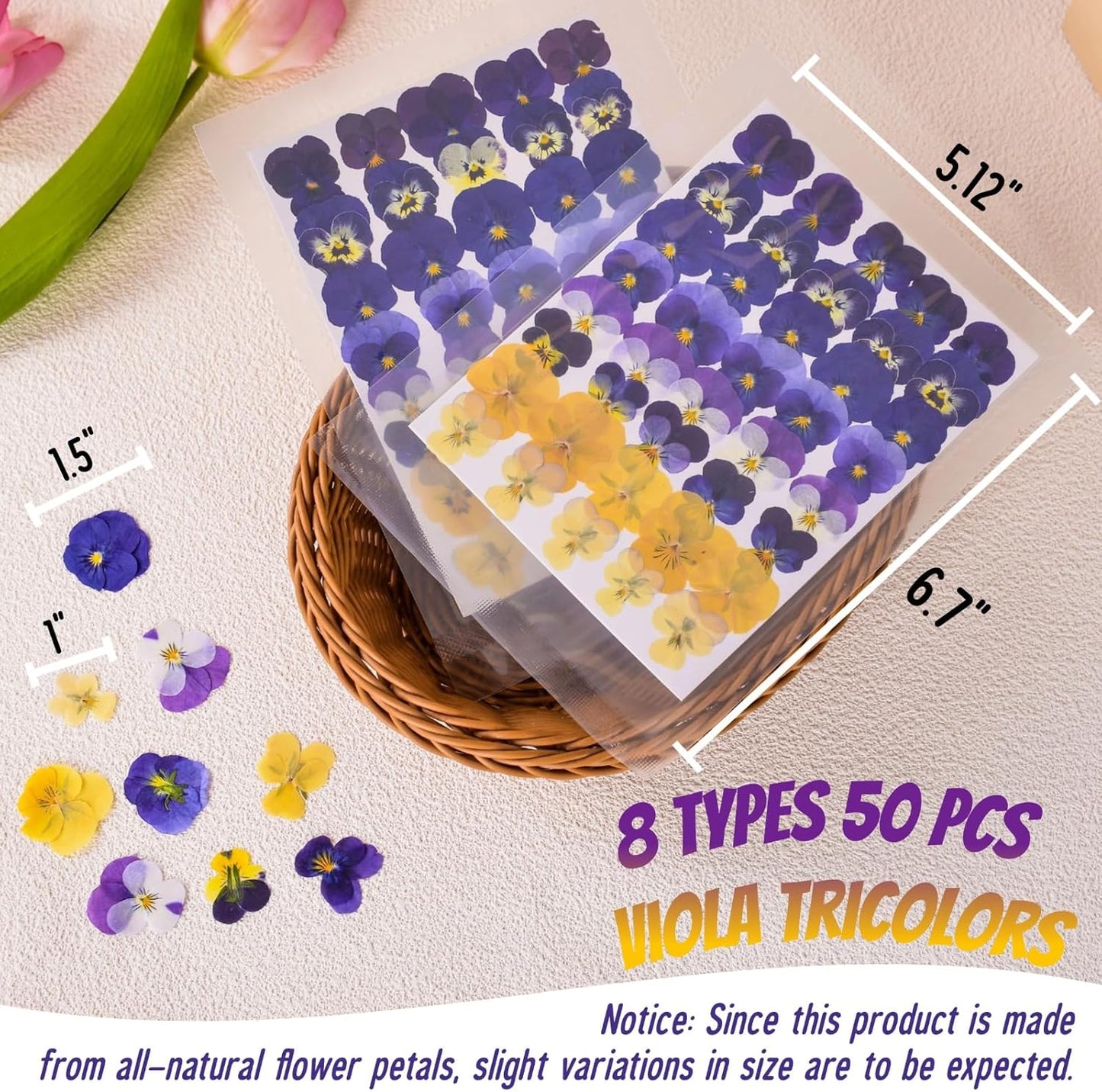 50 Pcs 8 Kinds Natural Dried Pressed Edible Flowers for Cake Topper Decorating - Mix Viola Tricolor for Cupcake Toppers, Cocktails, Resin Jewelry Making, DIY Art Crafts