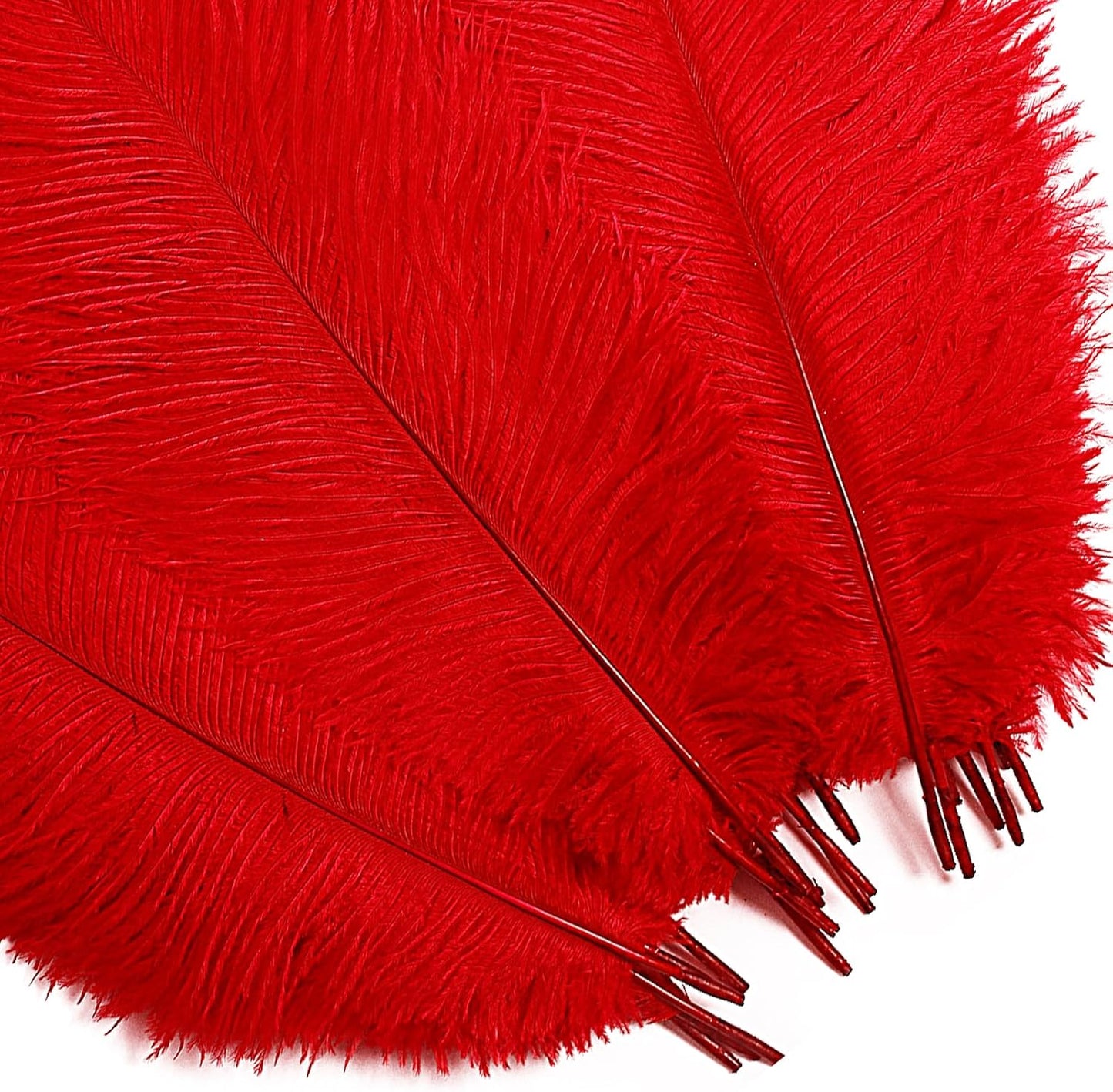 Bulk Red Ostrich Feathers - 12pcs 12-14inch Crafting Supplies for Centerpiece Table Decorations
