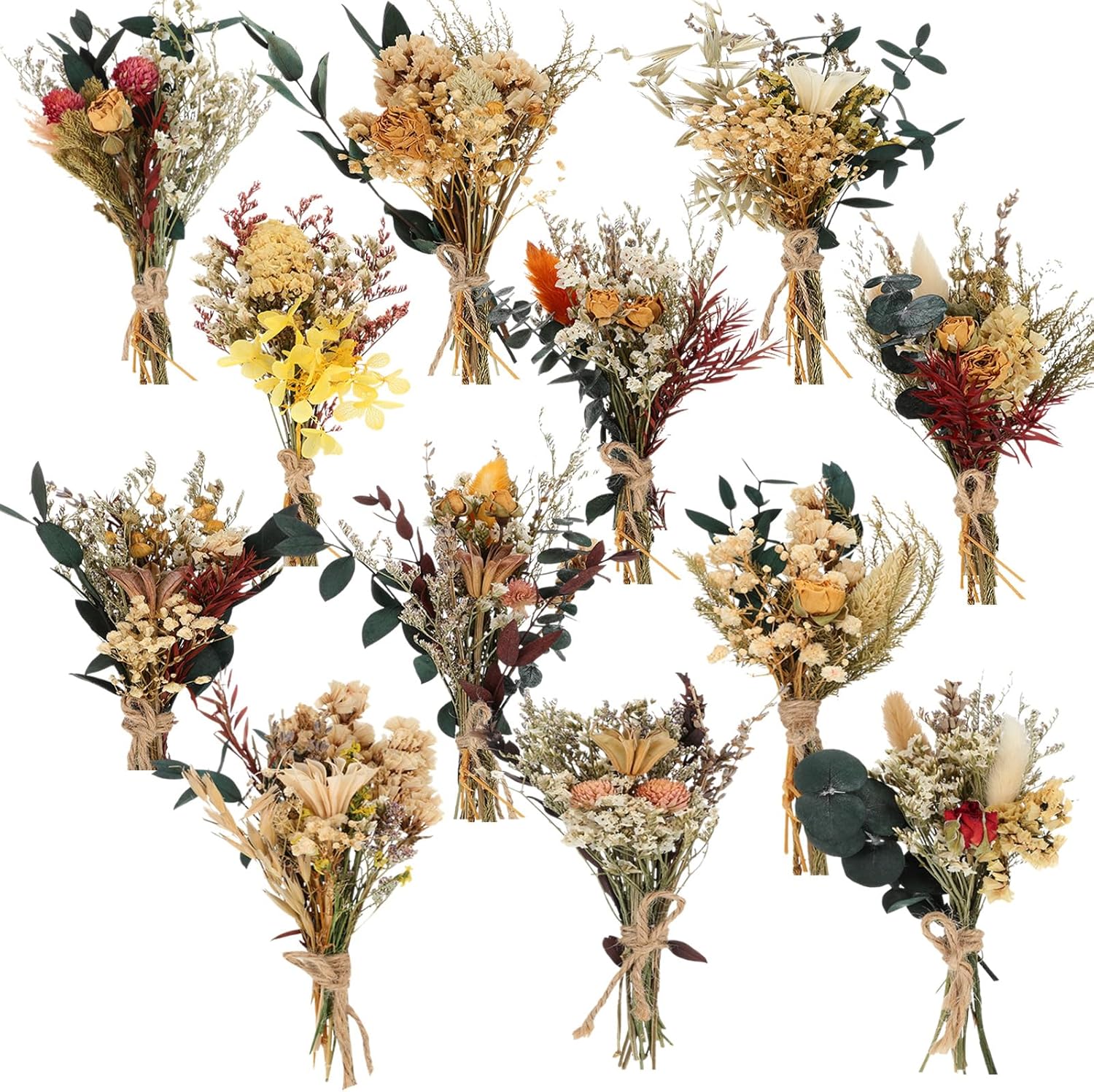 Dried & Preserved Flora