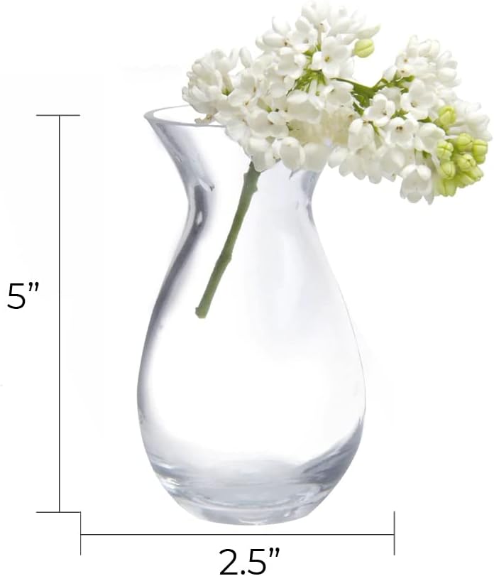 CHIVE ‘George’ Glass Bottle Flower Vases — Set of 6 — Small, Elegant Clear Glass Bud Vases — Bulk Pack for Home Decor & Table Centerpieces — Shape 2 (Oval, 5" Tall, 2.5" Wide)