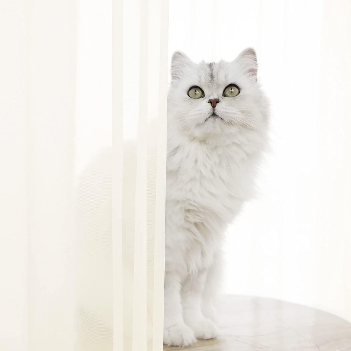 Window Ivory Sheer Curtains 90 Inches Long 2 Panels Sheer Curtain Basic Rod Pocket Panel for Bedroom Children Living Room Yard Kitchen