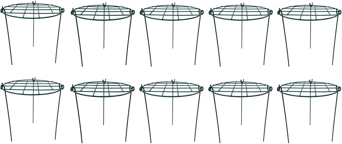 12 x 16 inch Poeny Cage Grow Through Grid Plant Brace Flower Support Rings, Pack of 10 Round Metal Plant Stakes Rings, Strong Large Garden Supports for Flowers, Peonies, Rose, Lily