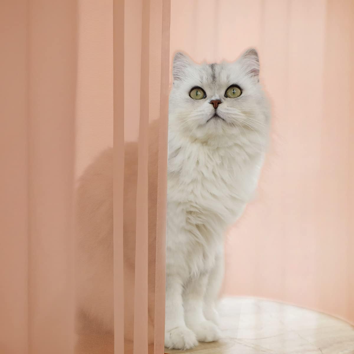 Window Brown Sheer Curtains 48 Inches Width 45 Inches Long 2 Panels Sheer Curtain Clear Curtains Basic Rod Pocket Panel for Home Living Room Bedroom Kids Room Yard Patio Parlor Sliding