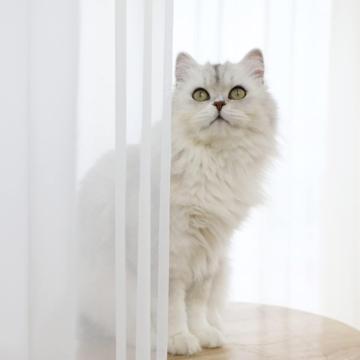 Window White Sheer Curtains 60 Inches Width 45 Inches Long 2 Panels Sheer Curtains Clear Curtains Basic Rod Pocket Panel for Home/Living Room/Bedroom/Kids Room