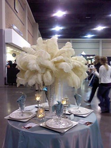 Sowder 10-12inch(25-30cm) Ostrich Feathers Plume for Wedding Centerpieces Home Decoration Pack of 10pcs(Ivory)