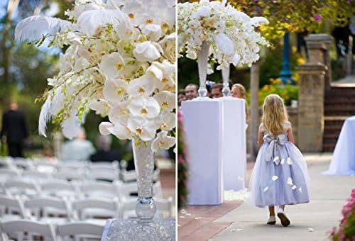 Sowder 8-10inch(20-25cm) Ostrich Feathers Plume for Wedding Centerpieces Home Decoration Pack of 10pcs(White)