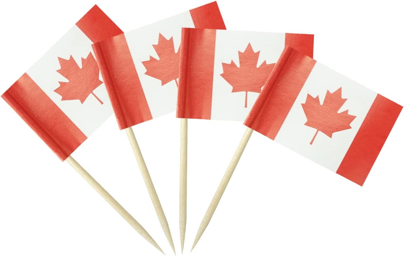 Canada Flag Canadian Flag, Small Mini Canada Toothpick Flags for Food, Cupcakes, Cocktails, Appetizers, Bar Party Decorations