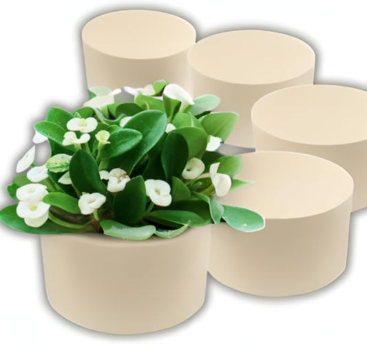 XCEL Floral Foam Block Unlike Any Other - Reusable Floral Blocks Flower Foam for Artificial Flower Arrangements (Cream - 5" x 3" Round (6 Pack))