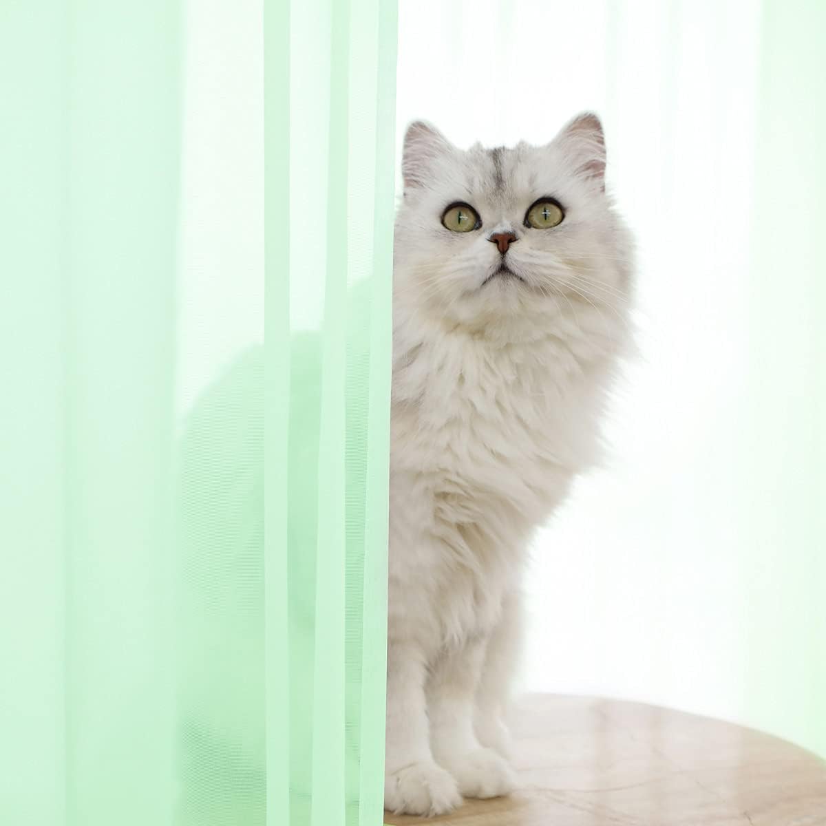 Window Light Green Sheer Curtains 145 Inches Long 2 Panels Sheer Curtain Basic Rod Pocket Panel for Bedroom Children Living Room Yard Kitchen (Light Green, 52" W x 145" L | 2 pcs)