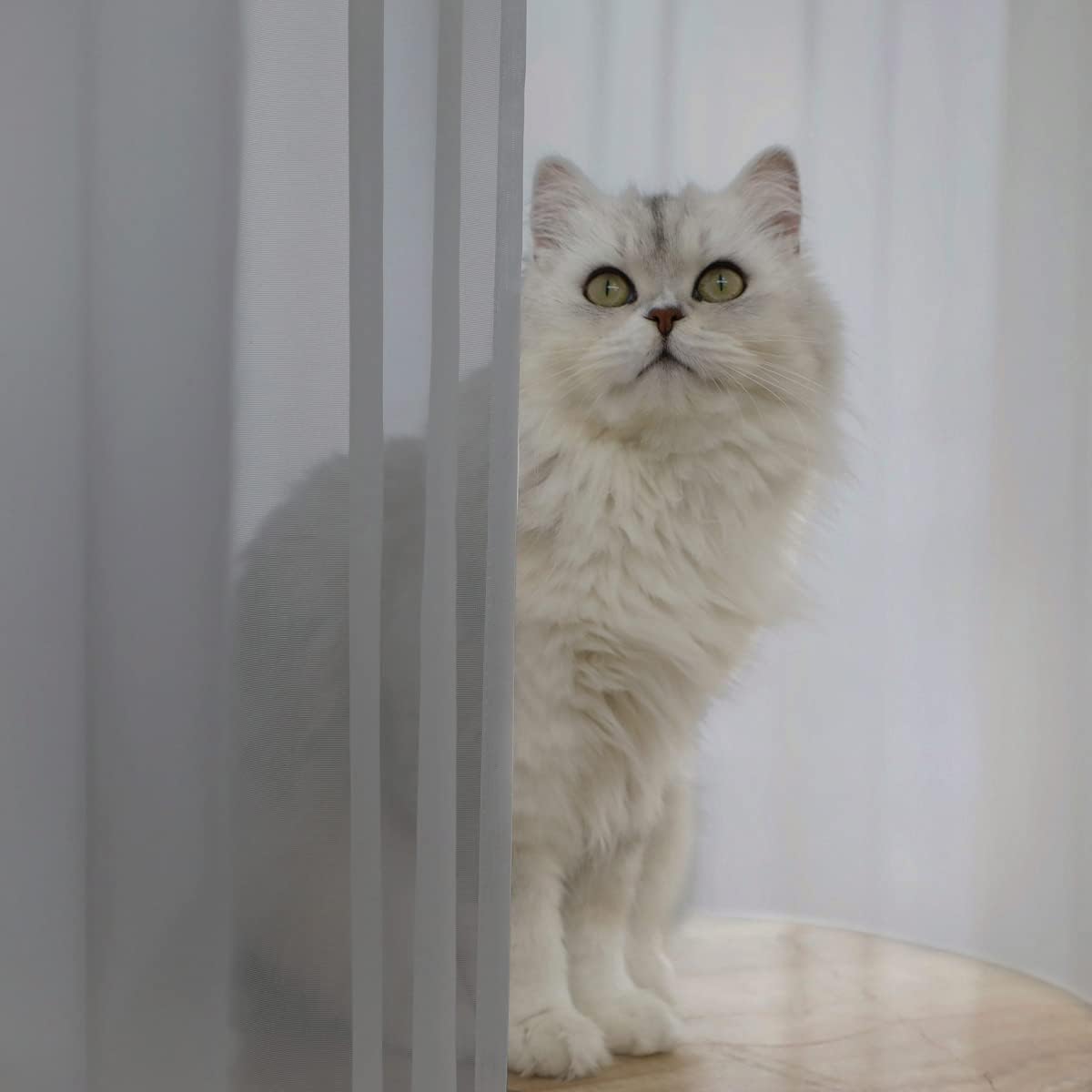 Window Gray Sheer Curtains 84 Inches Long 2 Panels Sheer Curtain Basic Rod Pocket Panel for Bedroom Children Living Room Yard Kitchen (Gray, 52" W x 84" L | 2 pcs)