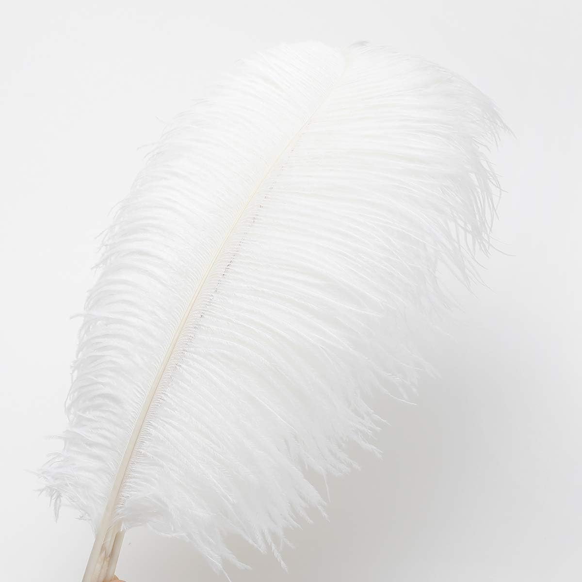 12pcs Natural White Ostrich Feathers 12-14inch (30-35cm) for Wedding Party Centerpieces，Flower Arrangement and Home Decoration.