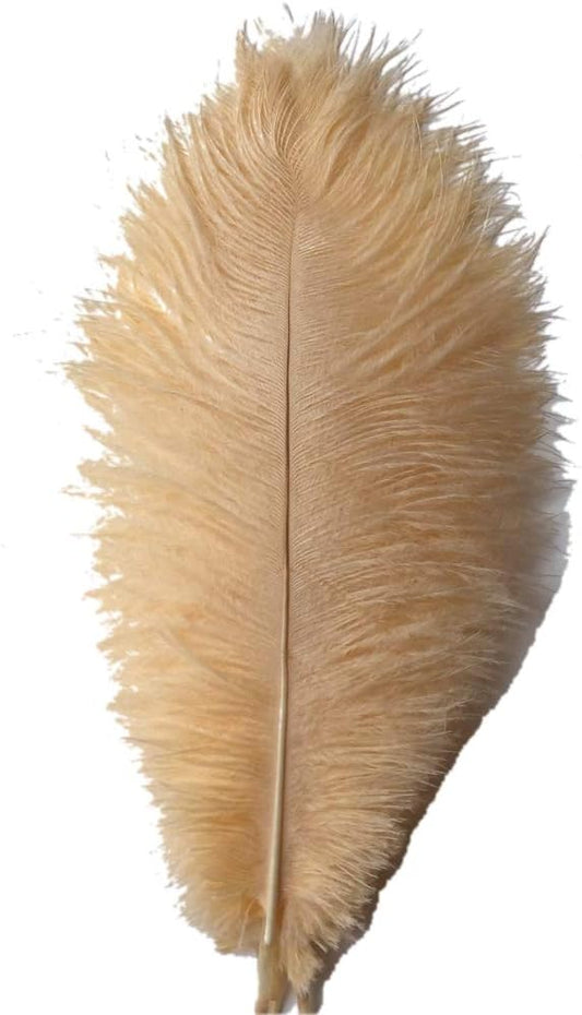 Sowder 8-10inch(20-25cm) Ostrich Feathers Plume for Wedding Centerpieces Home Decoration Pack of 10pcs(Champagne)