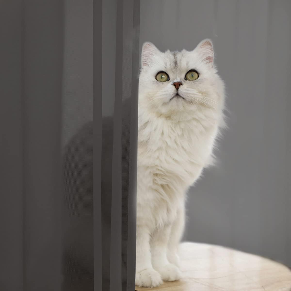 Window Dark Gray Sheer Curtains 120 Inches Long 2 Panels Sheer Curtain Basic Rod Pocket Panel for Bedroom Children Living Room Yard Kitchen (Dark Gray, 52" W x 120" L | 2 pcs)