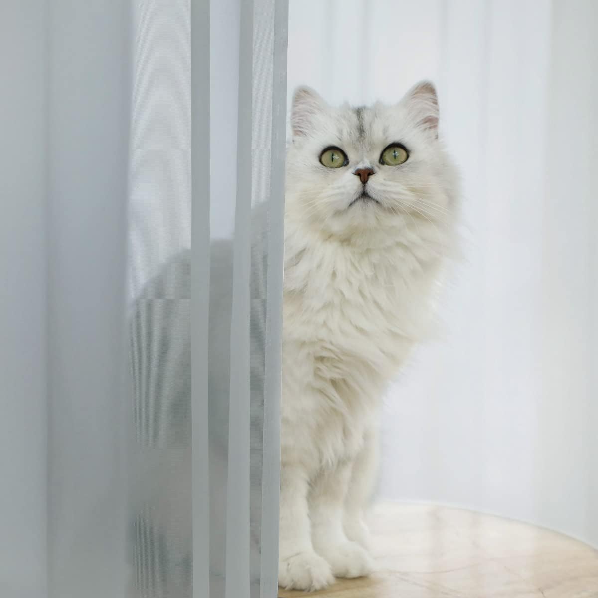 Window Light Gray Sheer Curtains 63 Inches Long 2 Panels Sheer Curtain Basic Rod Pocket Panel for Bedroom Children Living Room Yard Kitchen (Light Gray, 52" W x 63" L | 2 pcs)