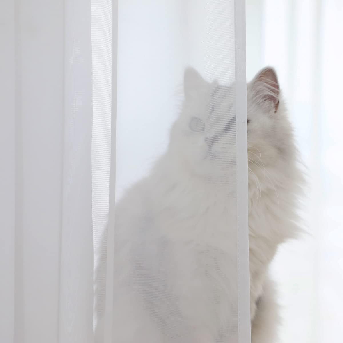 Window Ivory Sheer Curtains 84 Inches Long 2 Panels Sheer Curtain Basic Rod Pocket Panel for Bedroom Children Living Room Yard Kitchen (Ivory, 52" W x 84" L | 2 pcs)