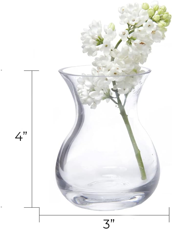 CHIVE ‘George’ Glass Bottle Flower Vases — Set of 6 — Small, Elegant Clear Glass Bud Vases — Bulk Pack for Home Decor & Table Centerpieces — Shape 4 (Oval, 4” Tall, 3” Wide)