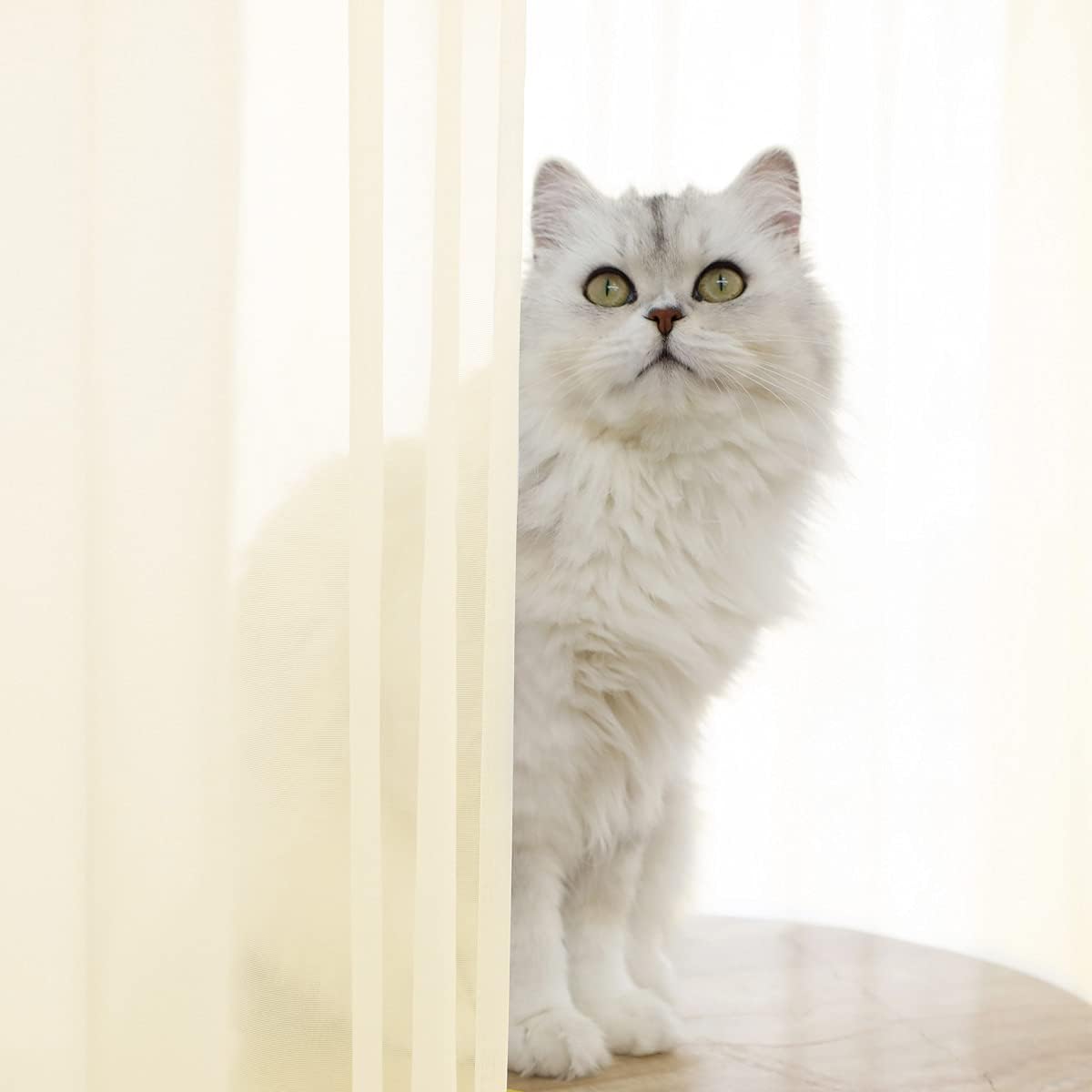 Window Light Yellow Sheer Curtains 48 Inches Width 45 Inches Long 2 Panels Sheer Curtain Clear Curtains Basic Rod Pocket Panel for Home Living Room Bedroom Kids Room Yard Patio Parlor Sliding