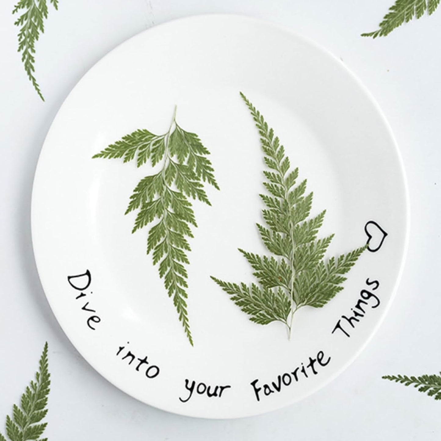 48 Pcs Dried Pressed Flowers Leaves Ferns for Crafts Art Resin DIY Natural Dry Green Leaf Epoxy Jewelry Real Rose Flower Decor Cakes Phone Cases Bookmarks Candles Handmade Soap Ferns