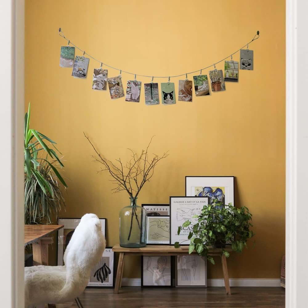 TFu Wall Hanging Photo Display, DIY Picture Photo Frame String with 12 Clips for Hanging Photos Notes and Artworks (Moon & Star)