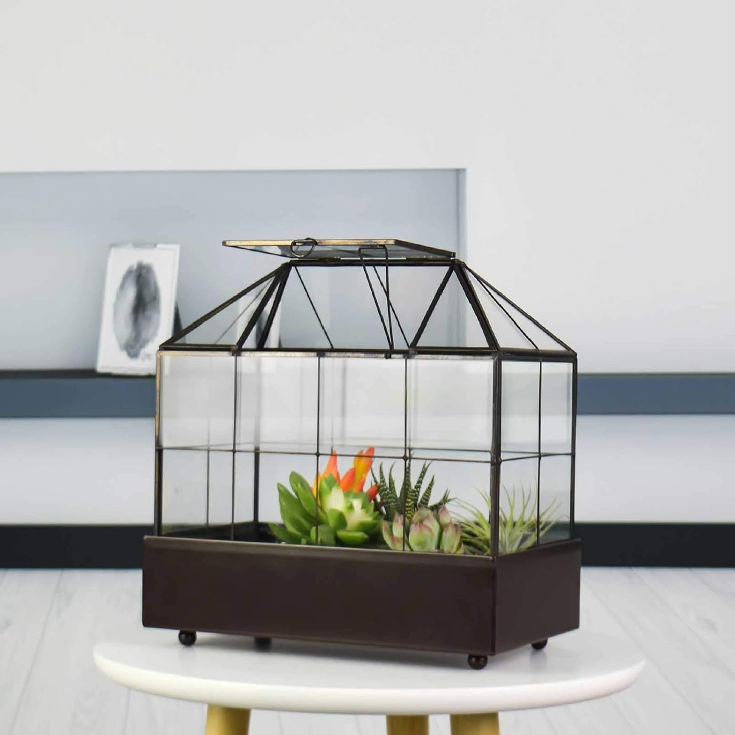 Large Tall Plant Terrarium Glass Greenhouse with Lid and Tray, Indoor Tabletop Orchid Succulent Cacti Kit 9.5'X9.8'X5.6'