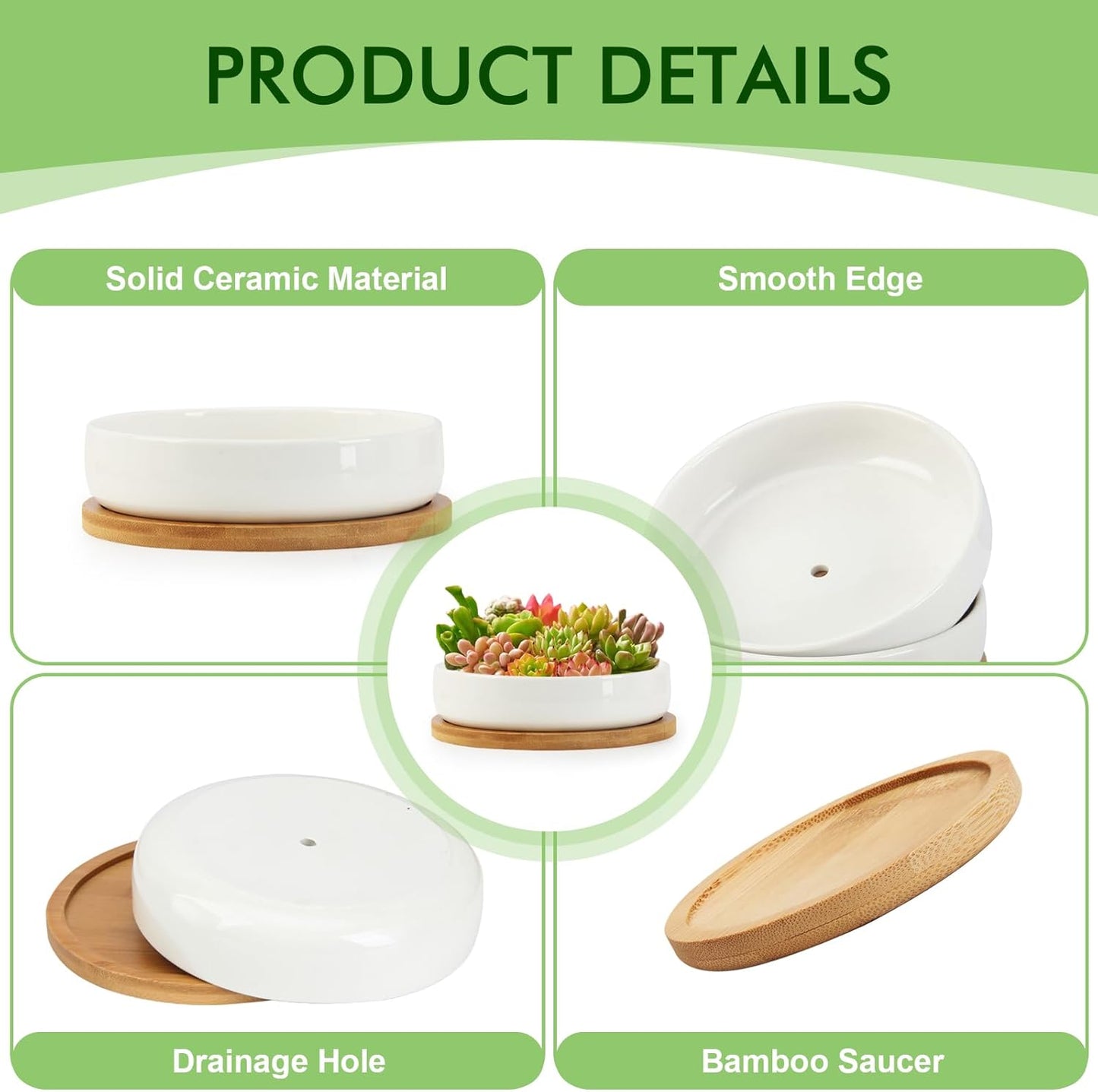 ZOUTOG Succulent Pots,6 Inch Succulent Planters with Drainage and Tray,White Ceramic Planters for Indoor Plants,Round Shallow Flower Plant Pots,Pack of 2