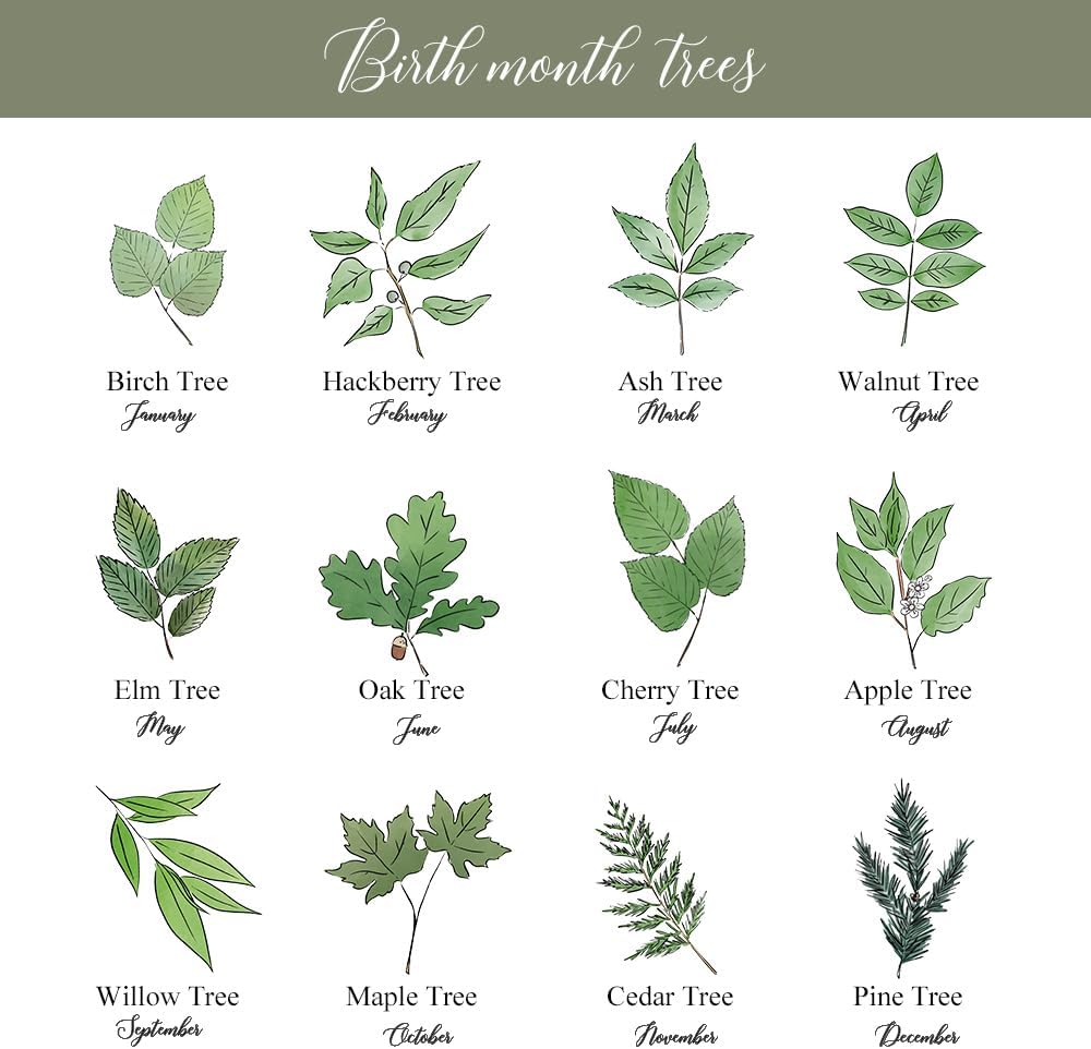 callie Personalized Wedding Table Numbers with Couple’s Name & Date, Custom Acrylic Birth Flower Tree Table Signs Holders, Wedding Reception Party Gifts for Bride & Groom