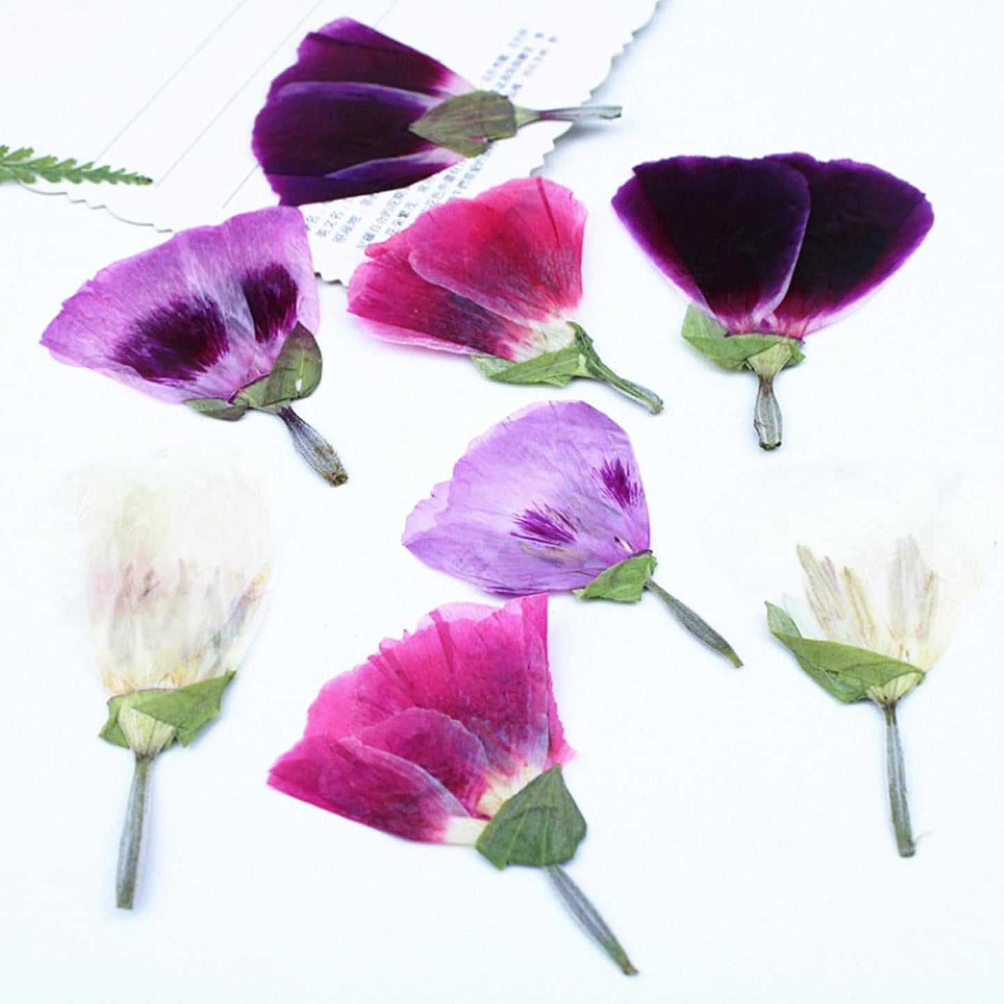 48 Pcs Dried Pressed Flowers for Crafts Art Resin DIY Natural Dry Floral Epoxy Jewelry Real Flower with Leaves Plants Decor Cakes Phone Cases Bookmarks Candles Handmade Soap Farewell