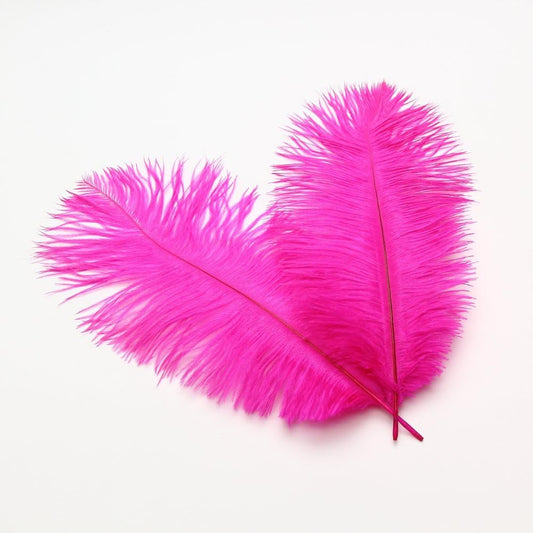 Sowder 8-10inch(20-25cm) Ostrich Feathers Plume for Wedding Centerpieces Home Decoration Pack of 10pcs(Fuchsia)