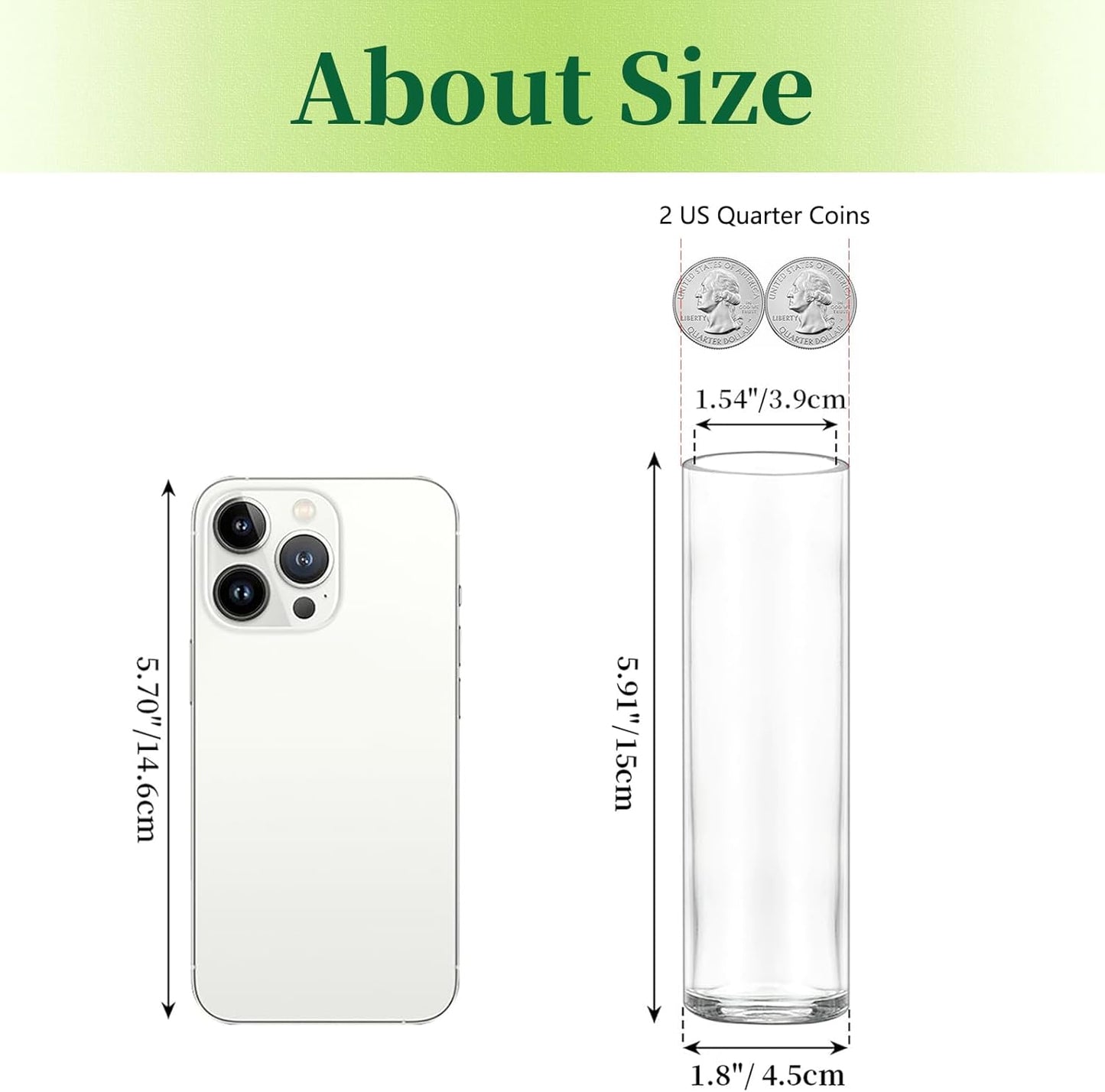 Hewory Cylinder Glass Bud Vases: Set of 12 Small Clear Skinny Single Flower Vase for Centerpieces - Minimalist Bulk Vases for Wedding Birthday Bridal Shower Party Events Table Decor, 5.91"(H)×1.8"(D)