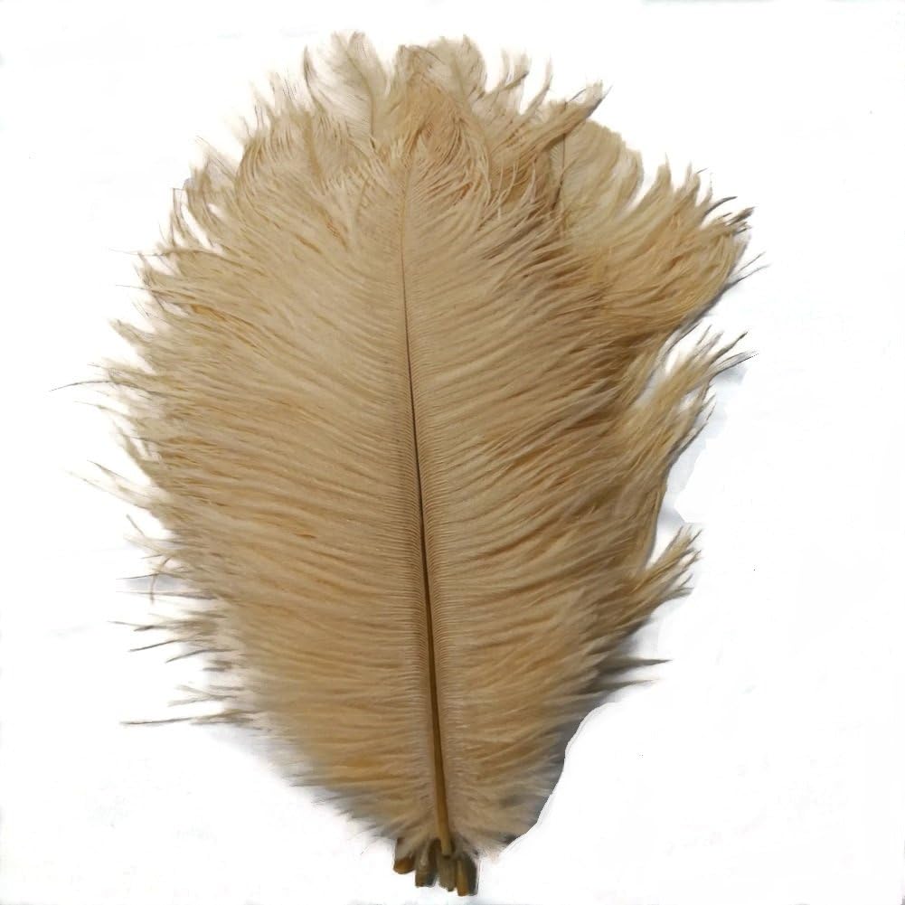KOLIGHT 40pcs 12''~14''(30~35cm) Natural Ostrich Feathers for DIY Home Wedding Party Office Decoration (Champagne)