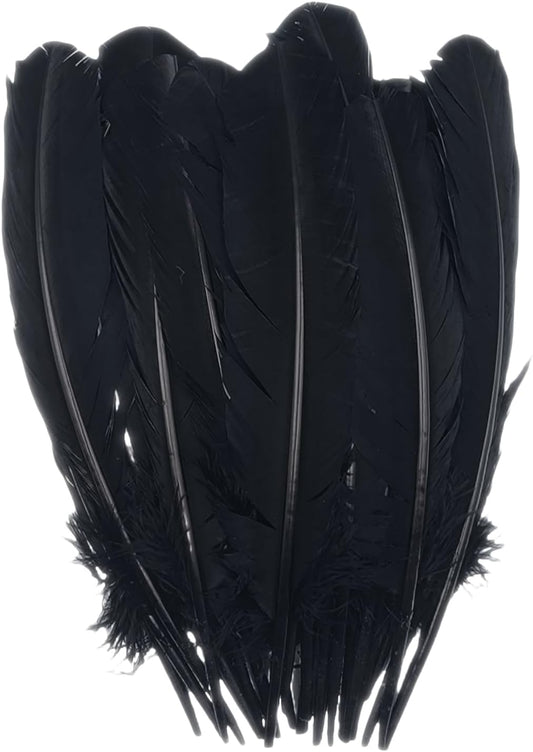 Black Turkey Feathers,22 Pcs Natural Feathers Bulk Long 10-12 inch (25-30cm),Turkish Feather for Crafts DIY Wedding Home Party Mardi Gras Decorations (Black)