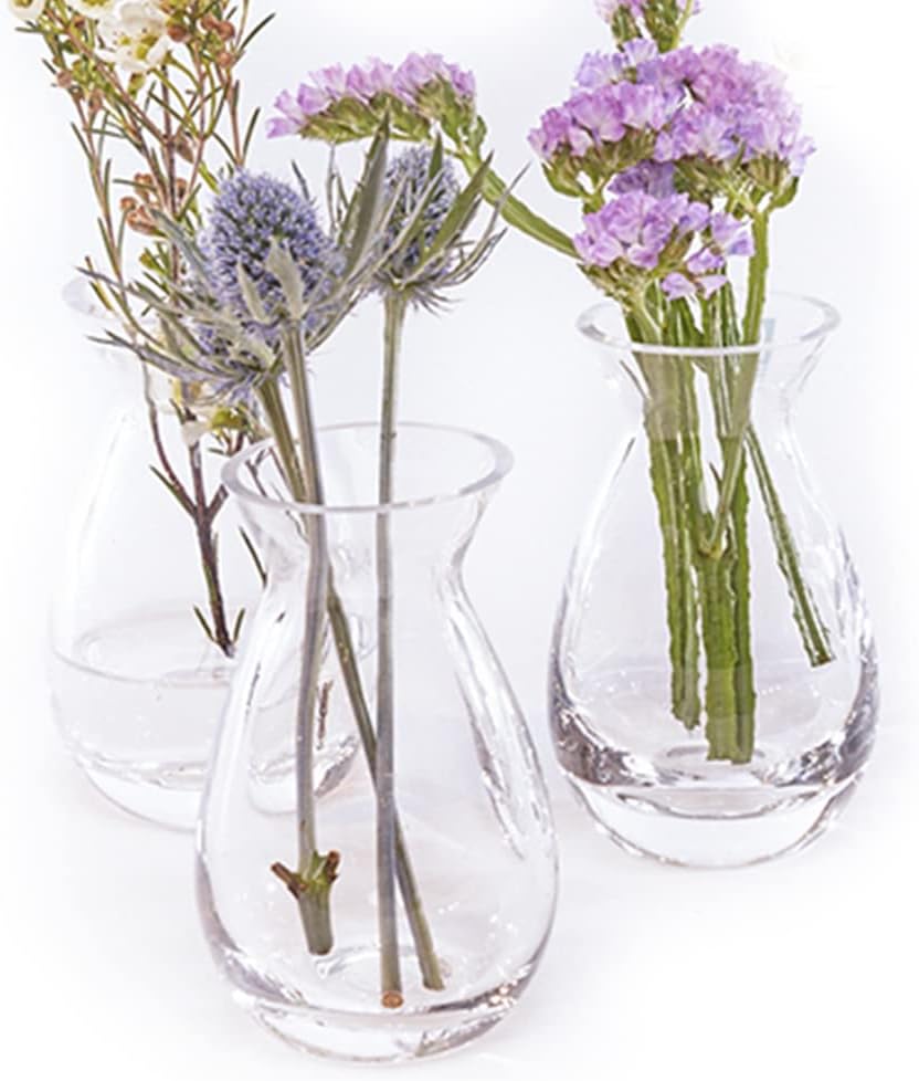 CHIVE ‘George’ Glass Bottle Flower Vases — Set of 6 — Small, Elegant Clear Glass Bud Vases — Bulk Pack for Home Decor & Table Centerpieces — Shape 2 (Oval, 5" Tall, 2.5" Wide)