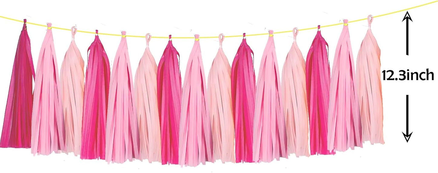 ZOOYOO Tassel Garland Tissue Paper Tassel Banner Table Decor,DIY Kits for Girls Women Birthday,Wedding,Bridal Shower,Bachelorette,Anniversary,Pack of 15(Hot-Pink,Light-Pink)