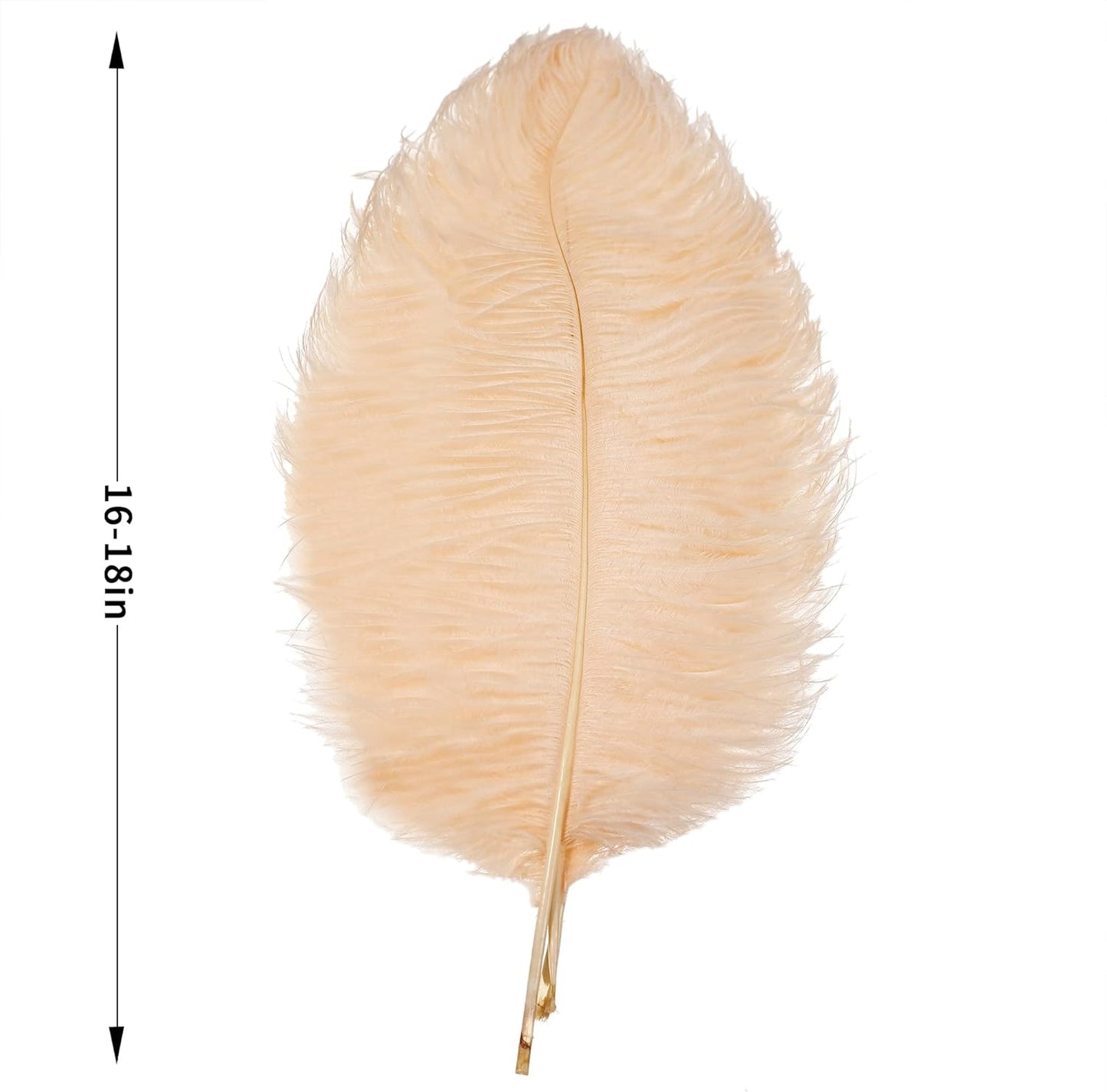 Larryhot 16-18inch Ostrich Feathers Plumas - 10pcs Boho Feathers for Vase Decoration,Wedding Party Centerpieces and Home Decorations (Champagne)