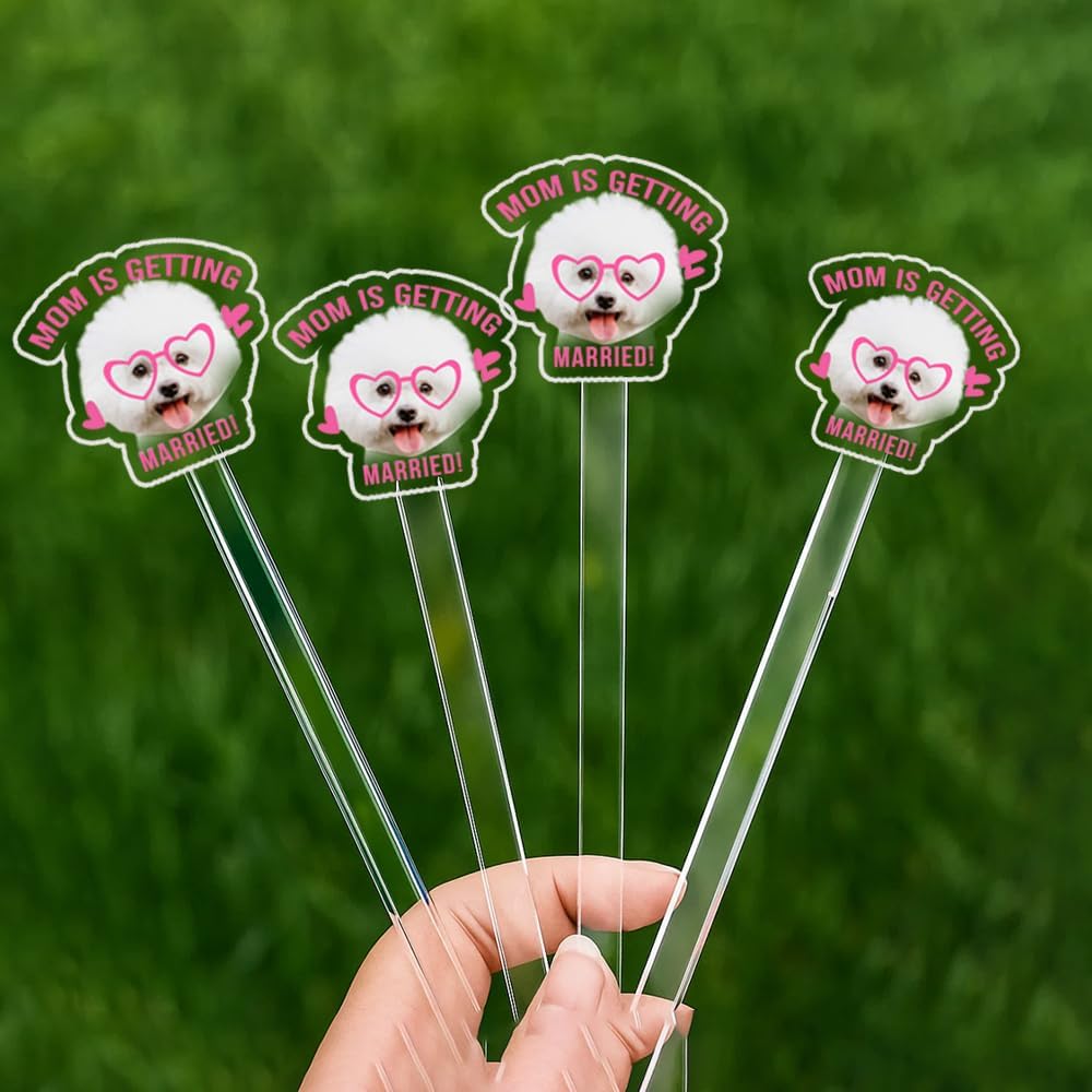 Custom 50 Pcs Double-Sided Wedding Pet Stir Sticks, Personalized Dog Cat Stir Stick, Acrylic Cocktail Stirrers, Wedding Drink Stirrers, Bachelorette Party Decorations, Bridal Shower Gifts