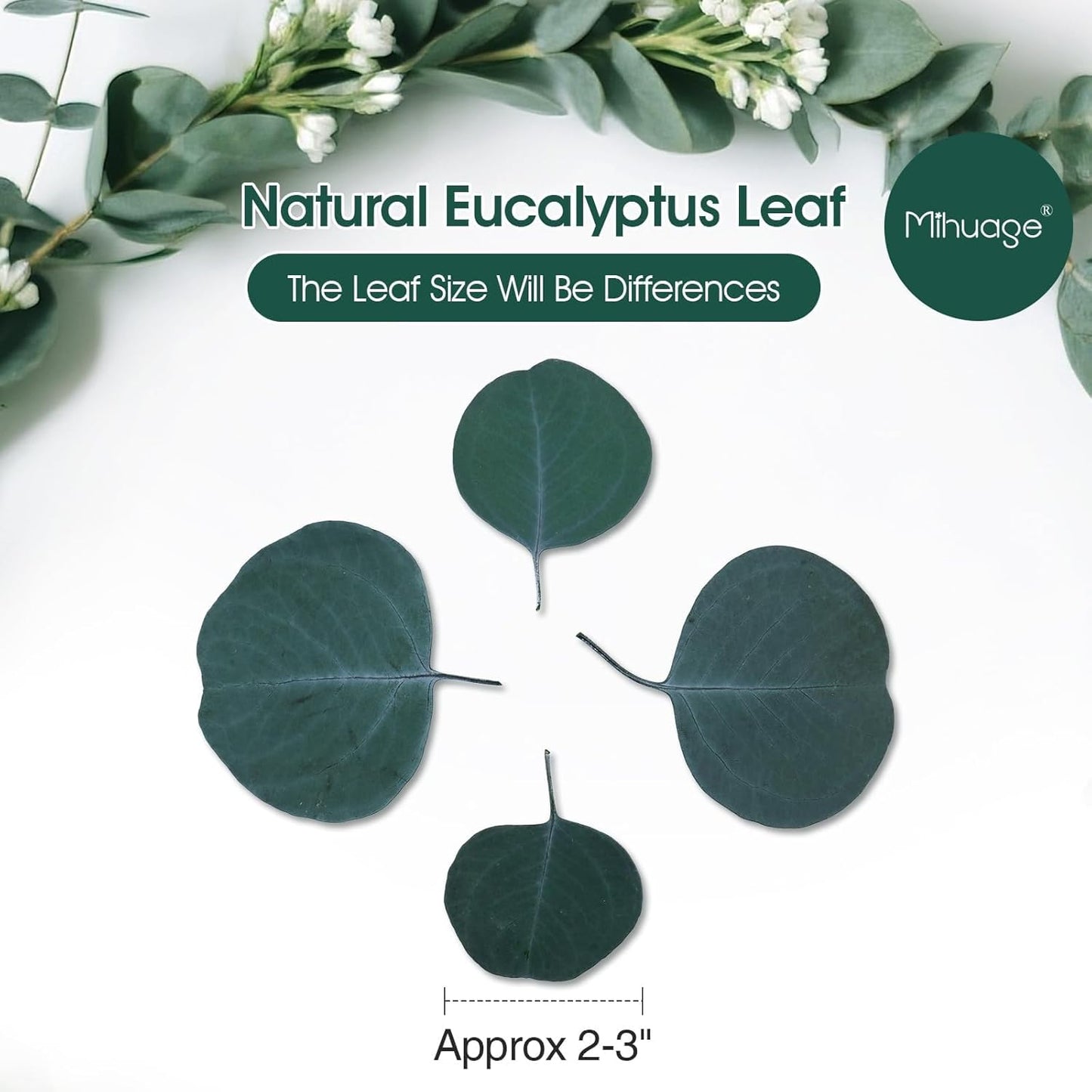 400+ Natural Dried Eucalyptus Leaves – Bulk Green Petals for Wedding, Baby Shower, & Table Decor. Biodegradable Confetti for Cake, Crafts & Party Decorations (6oz)