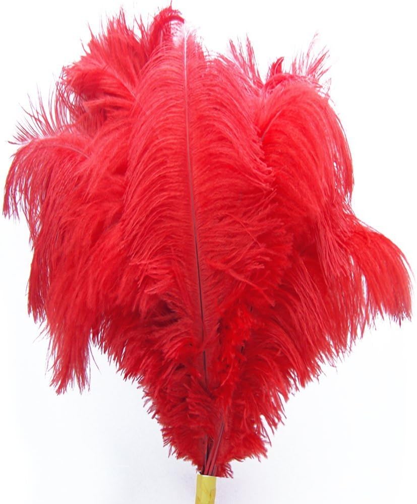 KOLIGHT® 40pcs 12''~14''(30~35cm) Natural Ostrich Feathers for DIY Home Wedding Party Office Decoration (Red)