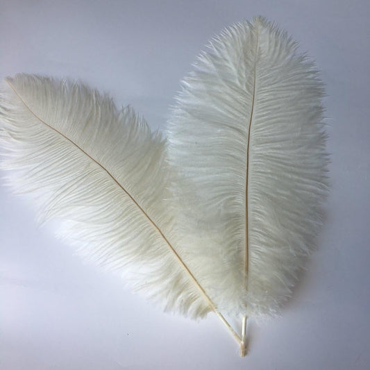 Sowder 10-12inch(25-30cm) Ostrich Feathers Plume for Wedding Centerpieces Home Decoration Pack of 10pcs(Ivory)