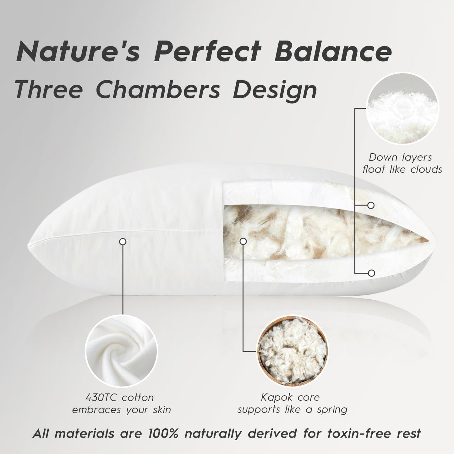 Globon Luxury Down Pillows Queen Size Set of 2 for Side Sleepers, 100% Cotton Shell Hotel Collection Bed Pillow for Sleeping, Firm Down Surrounded Feather Pillow 20" x 30"